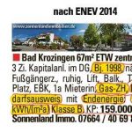 Immobilienanzeigen Pflichtangaben nach EnEV 2014