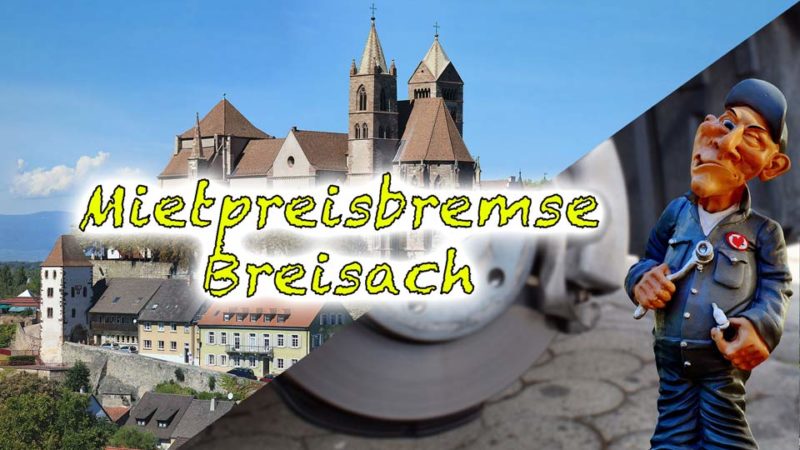 Bild vom Breisacher Münster mit einer Bremse im Vordergrund