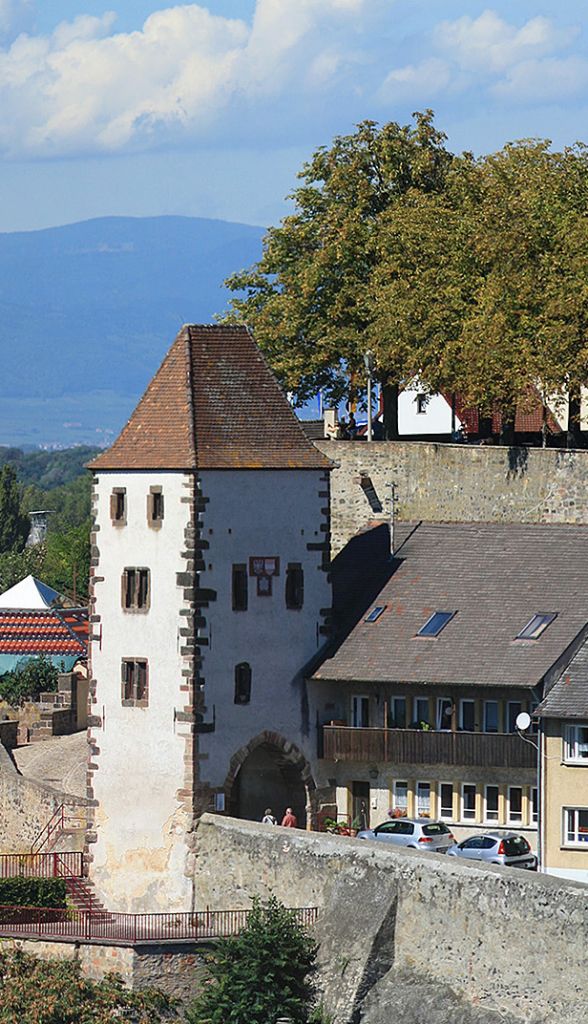 Breisach - historisches Detail - Stadtmauer - Turm am Eckartsberg