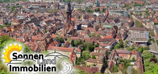 Bild vom Freiburger Münster aus der Luft