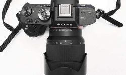 Ein Thumbnail zum Thema Vergleich & Test: Sony 7sm2 („Mark 2“ 2015) vs. Canon EOS 6D (2013)