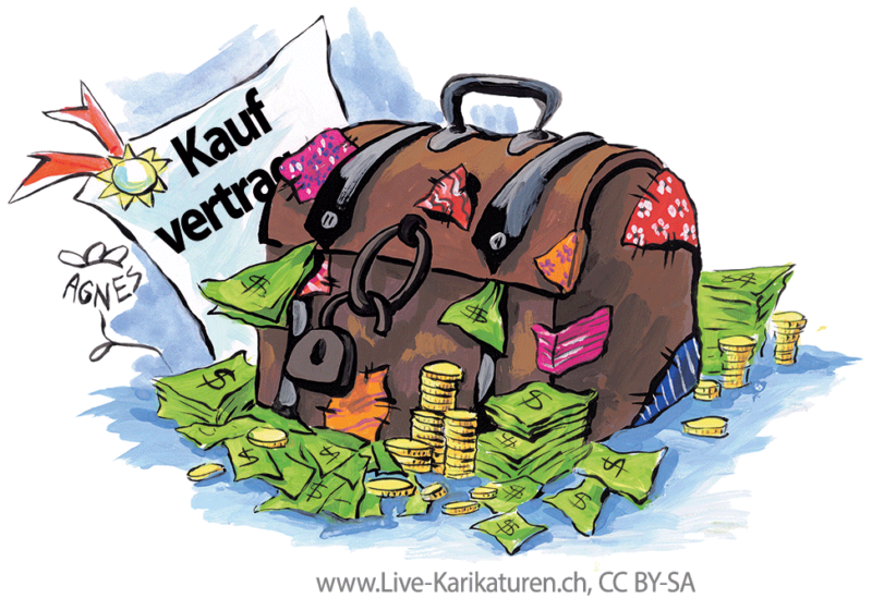 Symbolbild: ein Immobilienmakler Freiburg führt Sie zum finanziellen Erfog!
